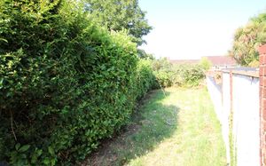 Garden- click for photo gallery